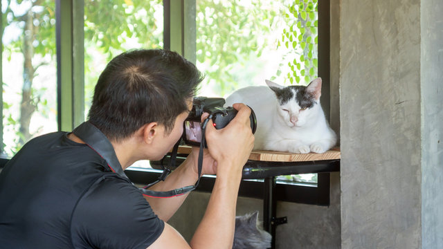Man taking a picture cute white cat.