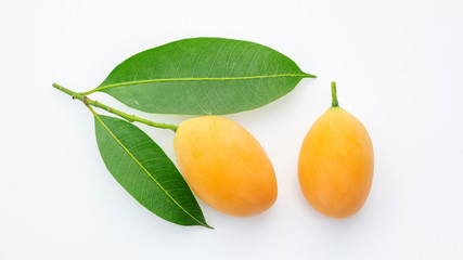 Yellow Marian plum fruit on a white background.