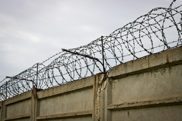 Barbed wire spirals on a concrete fence. The metaphor of imprisonment and lack of freedom. Security perimeter of the enterprise.