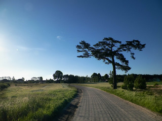 Offroad in Kashubian village.