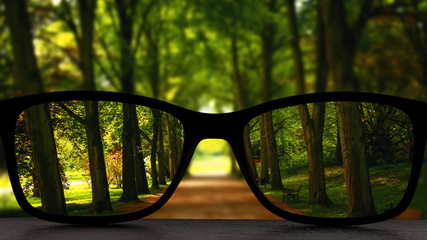Brille mit scharfen Sichtfeld in der Natur 