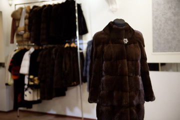 Fur coats made for ladies and exposed for sale. Fur Coats on Display, Fur Coats for Women