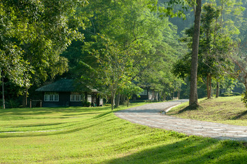Road in the Sri Sat Cha Na Lai national park landscape, Sukhothai, Thailand