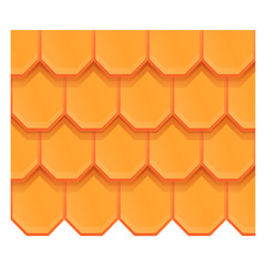 Insulation roof icon. Cartoon of insulation roof vector icon for web design isolated on white background