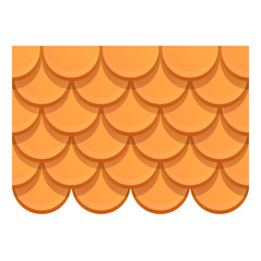 Repair roof icon. Cartoon of repair roof vector icon for web design isolated on white background