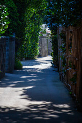 Fototapete bei efototapeten.de bestellen   