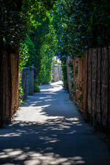 Fototapete bei efototapeten.de bestellen   