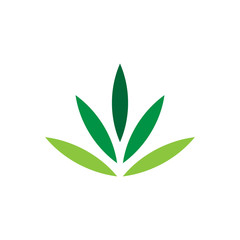 Green leaf logo vector design template