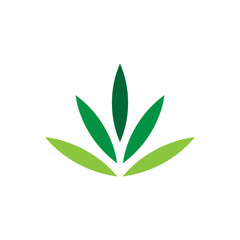 Green leaf logo vector design template