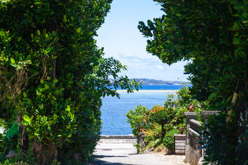 Fototapete bei efototapeten.de bestellen   