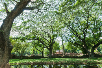 Obraz premium Old city of worship place landmarks, history park of Si-Satchanalai, Sukhothai province, Thailand.