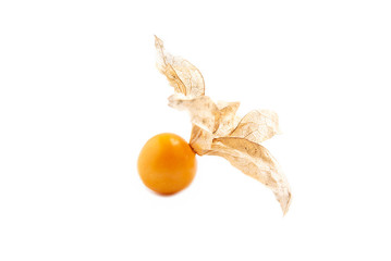Fresh cape gooseberry isolated over white background - colorful fruit cape gooseberry background concept