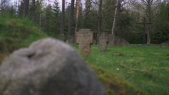 Old wartime cemetery in the woods.