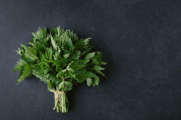 A bouquet of nettles on a dark background with copy space. Concept of broken love, frustration and...