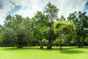Green of Garden Landscape With Cloudy sky