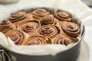 Fresh rolls Cinnabon, Cinnamon rolls in the form. Flavorful pastries