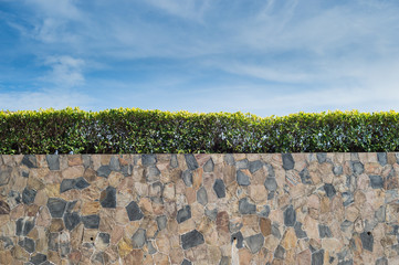 stone wall and tree garden decorated