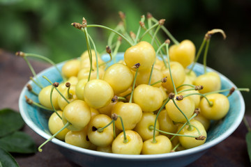 Yellow cherry in a bowl