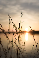 Obraz premium sunset on the lake