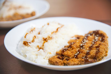 Rice with deep fried pork in Japanese style called Tonkatsu rescipe - Japanese food style rice pork meal background concept