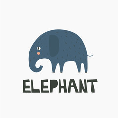 Hand drawn illustration, elephant and english text. Colorful background vector. Poster design with animal. Decorative cute backdrop, good for printing