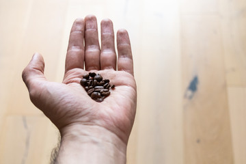 Coffee beans in palm of the hand. Concept for biological organic production of coffee, handmade roasted coffee beans in faire trade