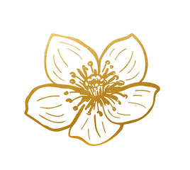 Drawn Golden Wild Rose - Golden Flower Vector Decoration