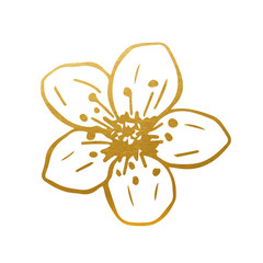 Drawn Golden Cherry Flower - Golden Flower Vector Decoration