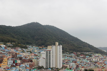 view of Busan from Gamcheon Culture Village
