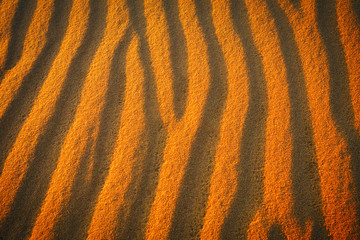 Golden desert sand during sunset as background