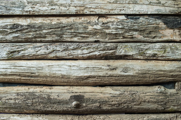 grunge of wood plank background