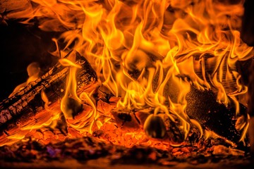 A few birch logs burning in the fireplace
