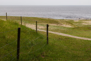 Fototapeta premium An empty deserted calm sandy beach on a grey day