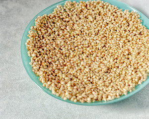 Green buckwheat in a blue plate. Buckwheat is ready for germination