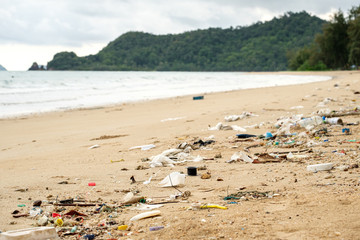 Fototapeta na wymiar Beach pollution. Plastic bottles and other trash on the beach