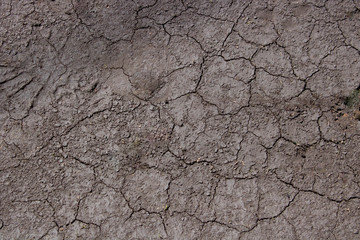 Dried cracked Earthen soil background texture of the soil. A mosaic pattern of earth's dried soil