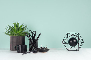 Spring workplace with black stationery, books, coffee cup, abstract atom model, aloe plant in elegant green mint menthe interior on white wood table, copy space.