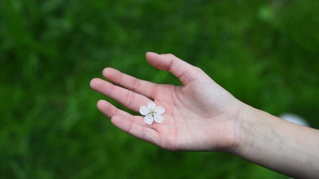 a girl opens her hand with a flower, the concept of spring and life