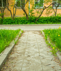 Photo of a path in a Park area