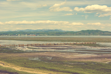 Spectacular view of scenic nature reserve park of river mouth Isonzo entering Adriatic sea.