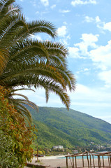 Fototapeta na wymiar View of the subtropical beach, sea and mountains
