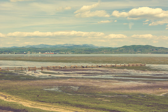 Spectacular view of scenic nature reserve park of river mouth Isonzo entering Adriatic sea.