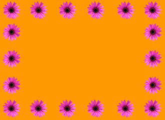 Fototapeta na wymiar Beauty flowers frame isolated orange background