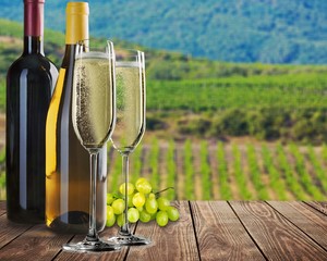 Obraz premium Quality delicious champagne wine, grapes and two wine glasses on the desk