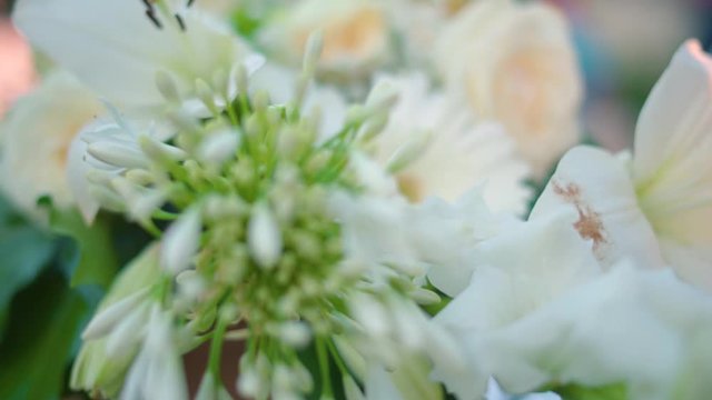 Bouquet de fleurs macro