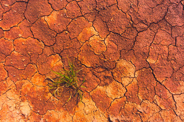 Cracked earth, metaphoric for climate change and global warming