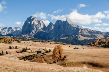 Alpine meadow in Italy. Seiser Alm (Alpe di Siusi)
