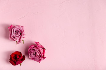 Fototapeta na wymiar Top view of beautiful roses