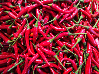 Red chillies put together in a group
