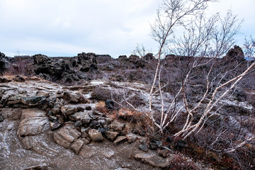 Landscape in Dimmuborgir, Iceland. Dimmuborgir in Iceland is a wide area of extraordinarily molded lava fields located east of M&yacute;vatn in Iceland.